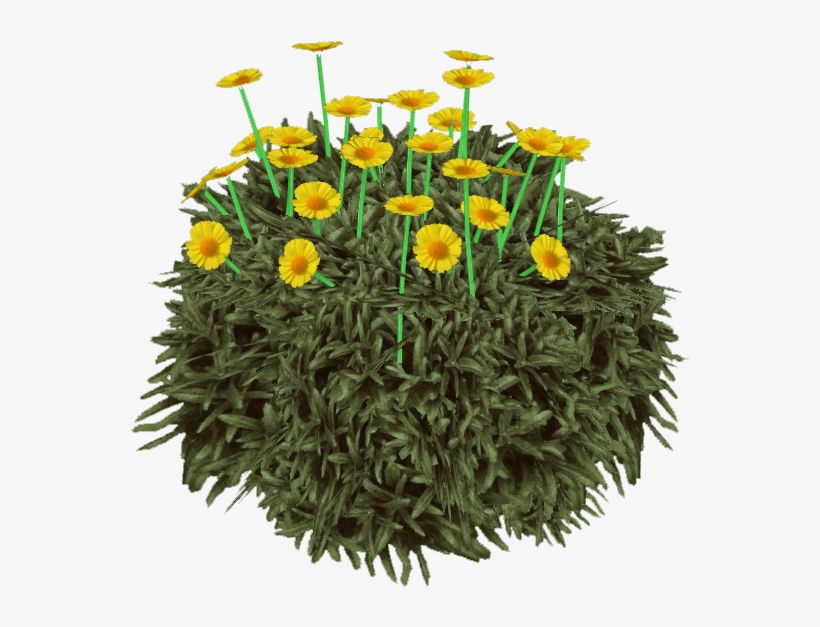 D E S E R T ~ G O L D - English Marigold, transparent png #9259978
