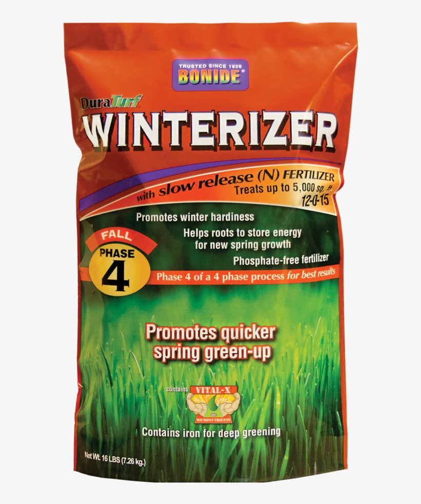 All 20% Off - Plant, transparent png #9260051