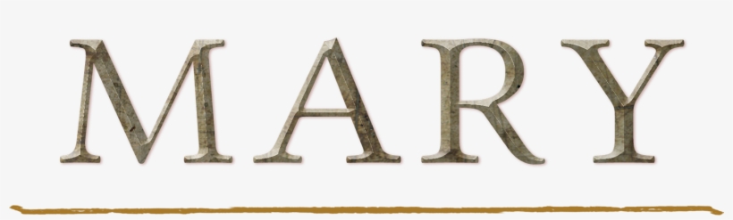 Plywood, transparent png #9260374
