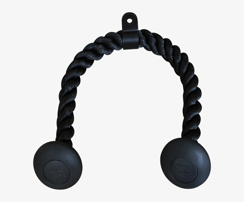 Gym Triceps Rope - Triceps Brachii Muscle, transparent png #9260825