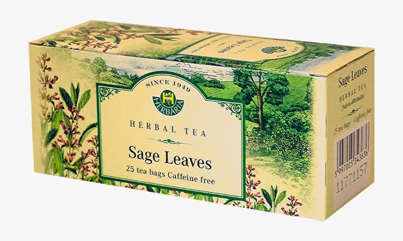 Sage Leaf Tea, 25 Tea Bags - Eyebright Euphrasia Officinalis, transparent png #9261145