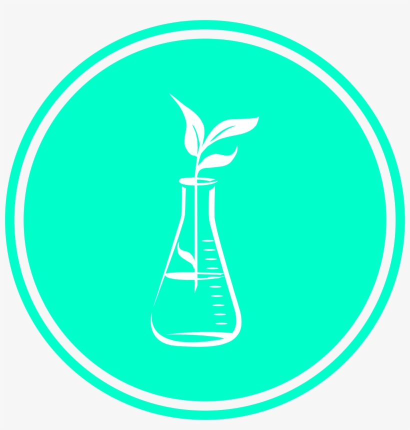 Plantas - 175,04 Kb - Circle, transparent png #9261622