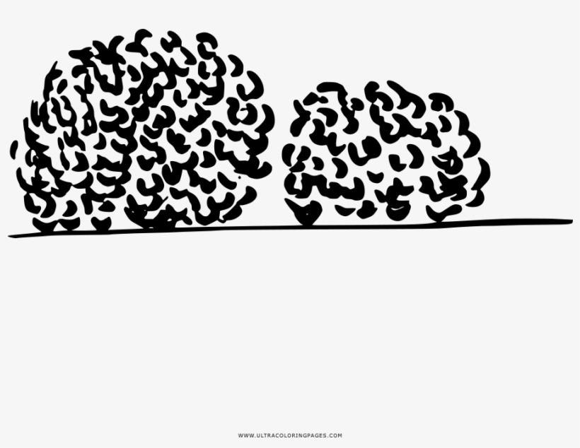 Arbustos Página Para Colorear - Para Arbusto Colorear, transparent png #9262142