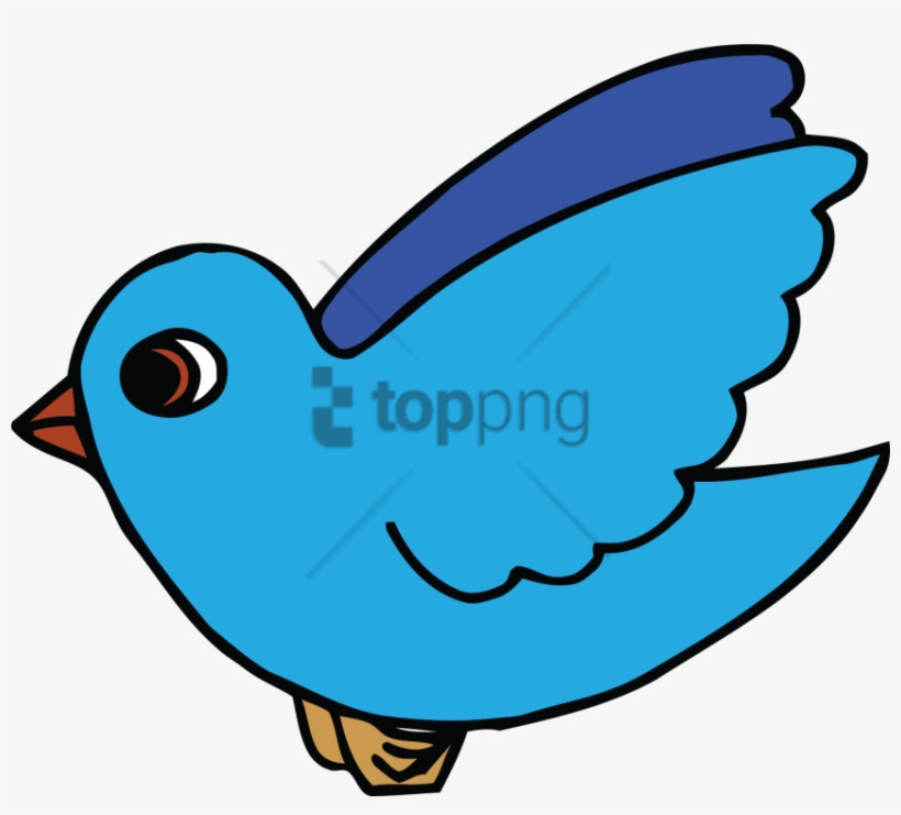 Free Png Download Free Bird Cartoon Png Images Background - Living Things Clip Art, transparent png #9262251