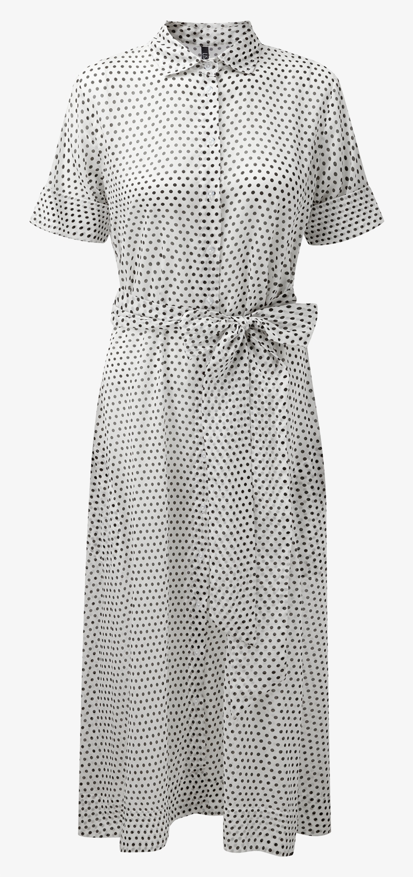 Polka Dot, transparent png #9264671