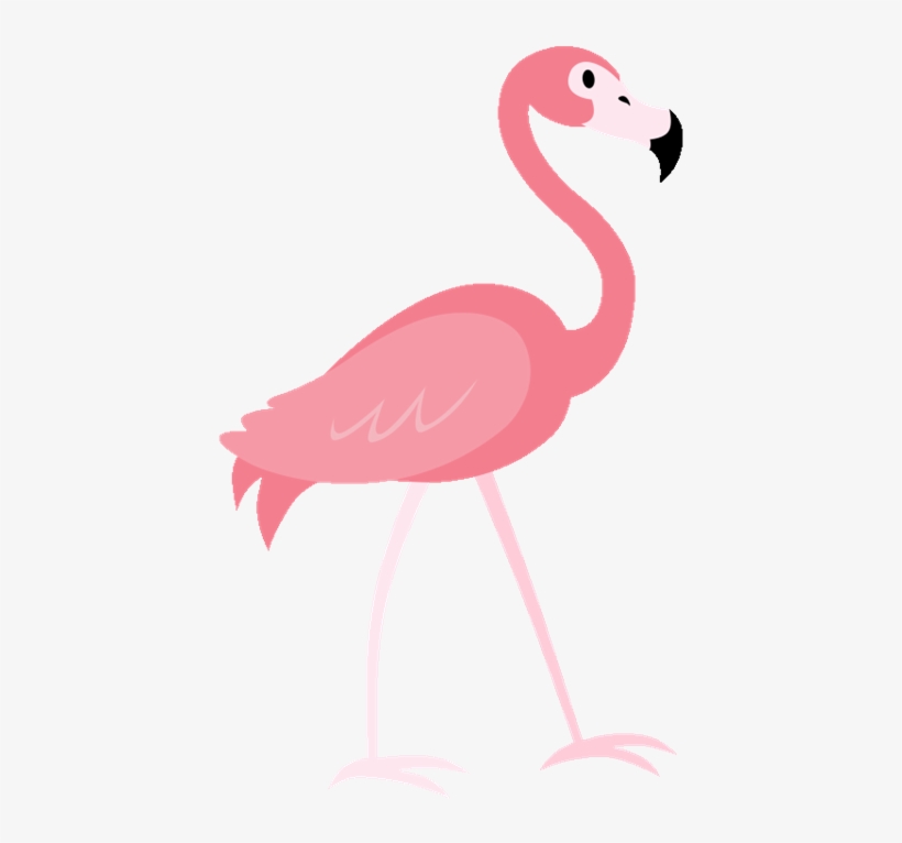Lacey Allen - Imagenes De Un Flamingo, transparent png #9265091