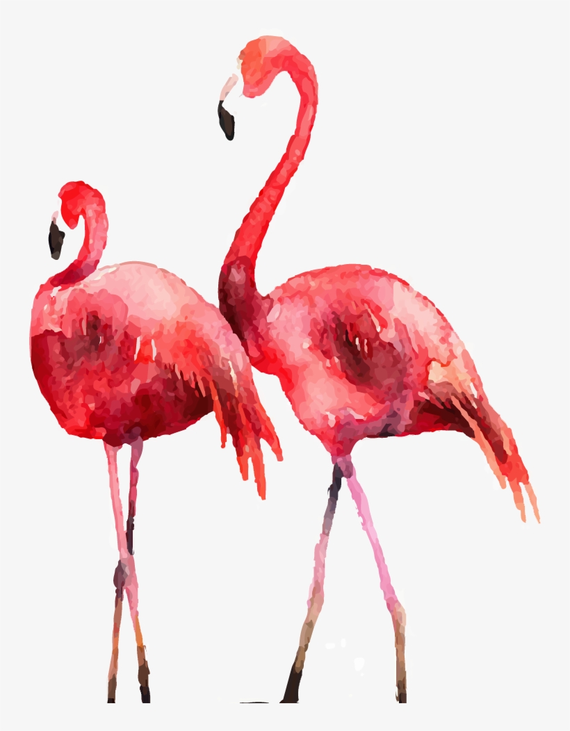 Pin By Eric Nguyen - Flamingo New Year 2019, transparent png #9265230