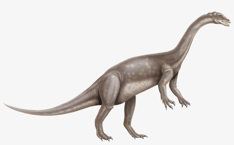 Free Dinosaur Pictures, Free Printables Dinosaurs Cliparts - Styracosaurus Dinosaur Transparent Anchisaurus, transparent png #9265373