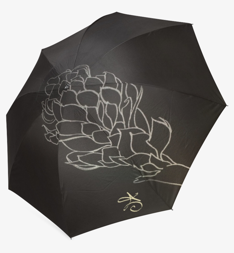 Alpinia Purpurata Red Ginger Flower Sketch Black Foldable - Paper, transparent png #9265924