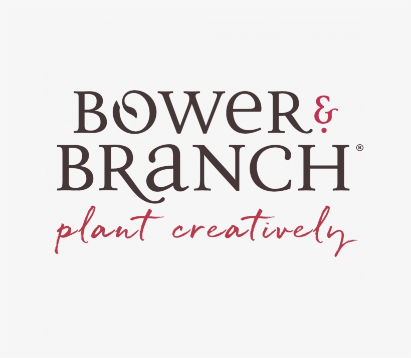 Bower & Branch™ - Korian, transparent png #9266291