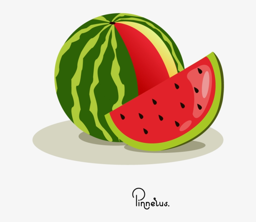 Watermelon Vector - Watermelon - Watermelon Vector - Watermelon, transparent png #9267078