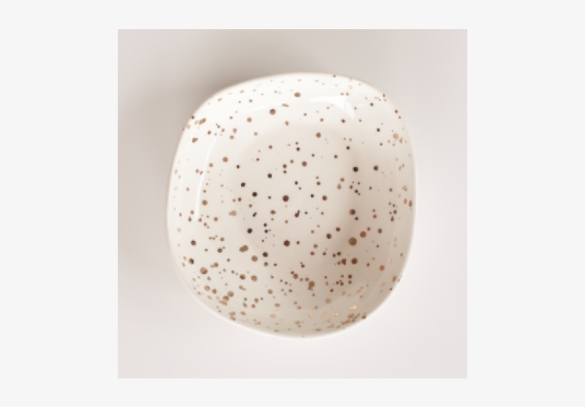 Animal, transparent png #9267770