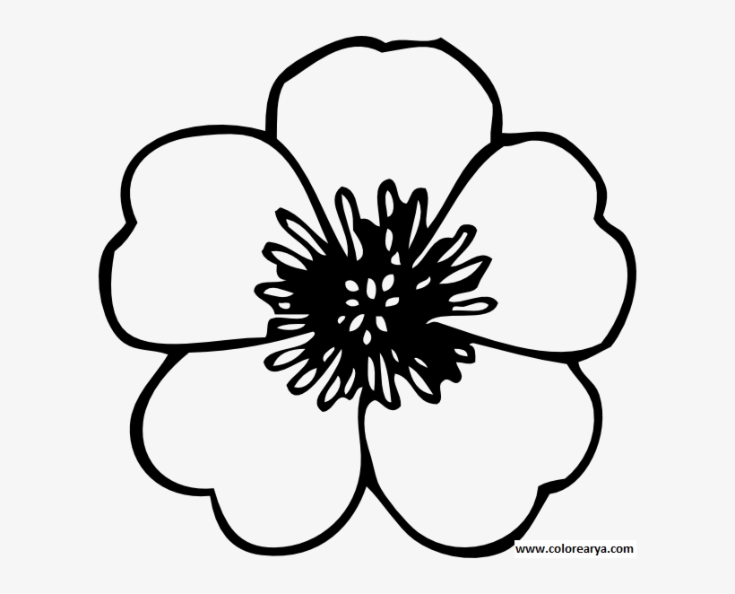 Flower Coloring Pages Png Flores Png Para Colorear - Poppy Cut Out Template, transparent png #9268242