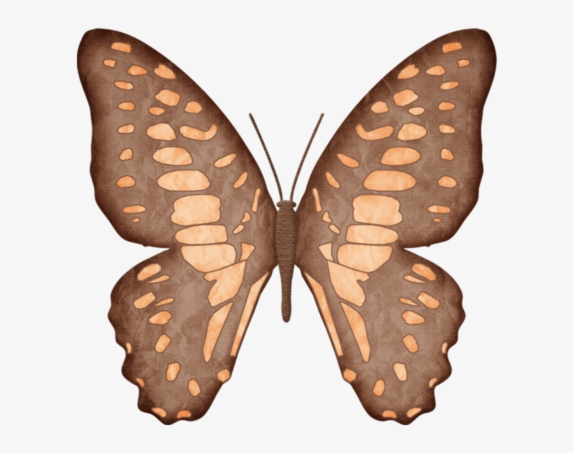 Publicat De Eu Ciresica La - Speckled Wood (butterfly, transparent png #9268598