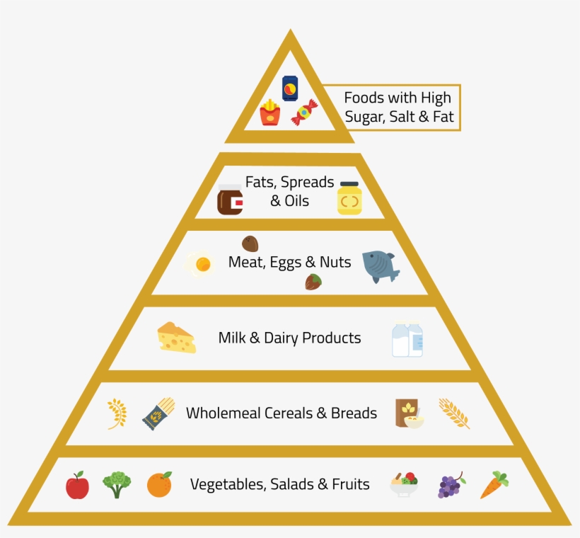 The Pyramid Bifurcates The Different Food Groups And - Order Of Operations Hierarchy, transparent png #9271880