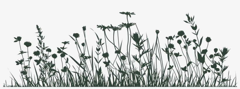 Silhouette, transparent png #9271917