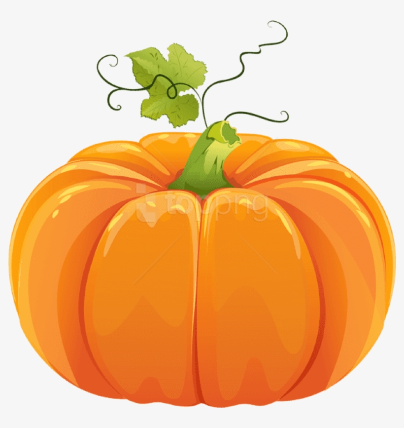 Free Png Download Autumn Pumpkin Clipart Png Photo - Pumpkin Png, transparent png #9272691