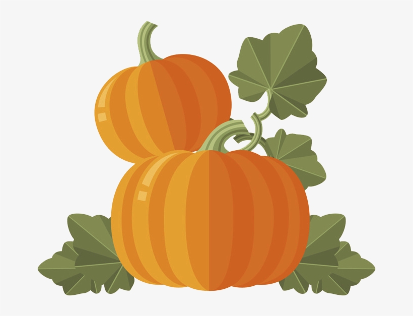 Calabaza Cucurbita Maxima Gourd Winter Squash With - Pumpkin With Leaves Png, transparent png #9272833