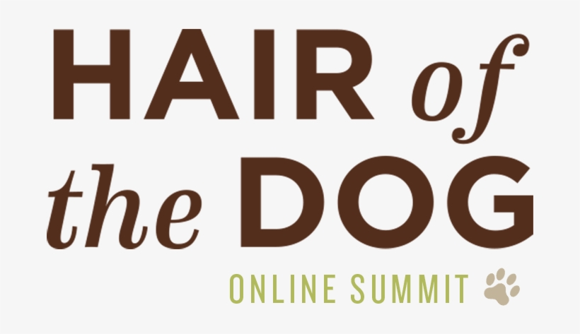 Enthusiastic Creative Pet Photographers Everywhere - Graphic Design, transparent png #9275232