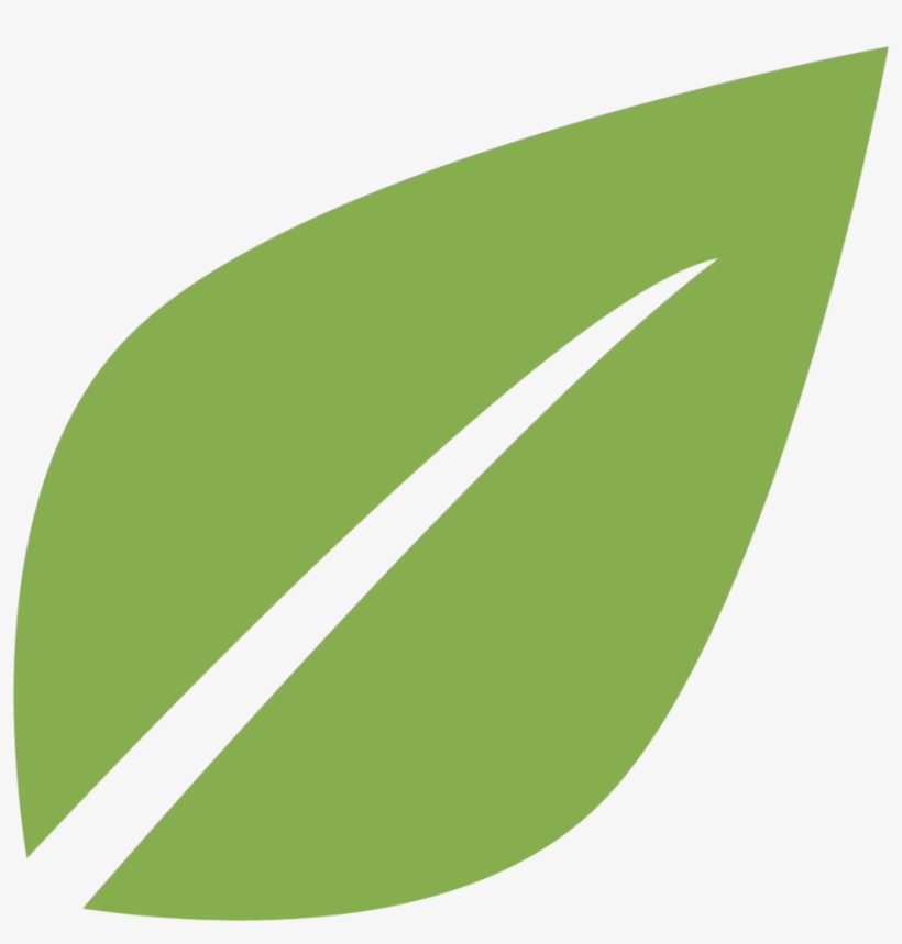 Mint Leaf 1024×1024 - Illustration, transparent png #9276408