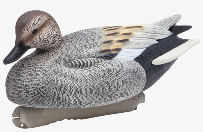 Floating Gadwall Drake Duck Hunting Decoy From Final - Mallard, transparent png #9278124