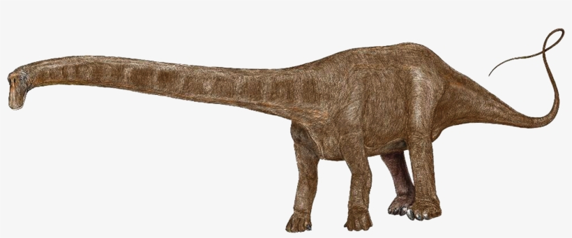 Source - Prek-8 - Com - Report - Dinosaur Footprint - Png Brontosaurus, transparent png #9278327