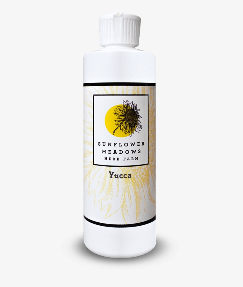 Yucca - Camomile, transparent png #9278761