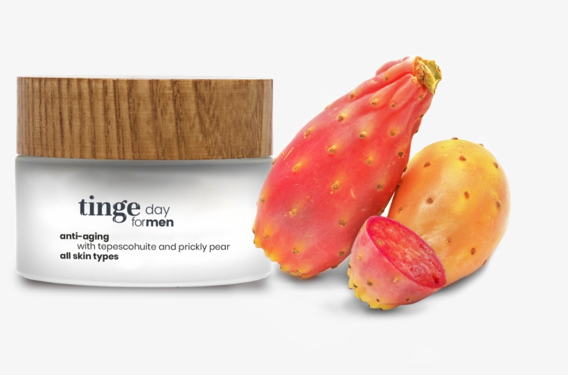 Product - Barbary Fig, transparent png #9278764