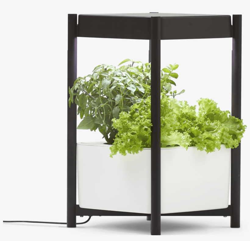 Miracle-gro® Twelve™ Indoor Growing System - Tree, transparent png #9278793