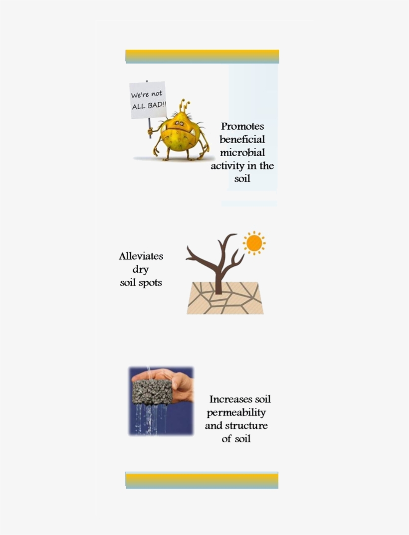 Picture - Insect, transparent png #9278833