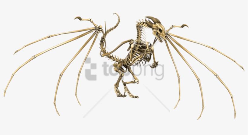 Free Png Download Dragon Skeleton Png Images Background - Dragon Skeleton Png, transparent png #9280026