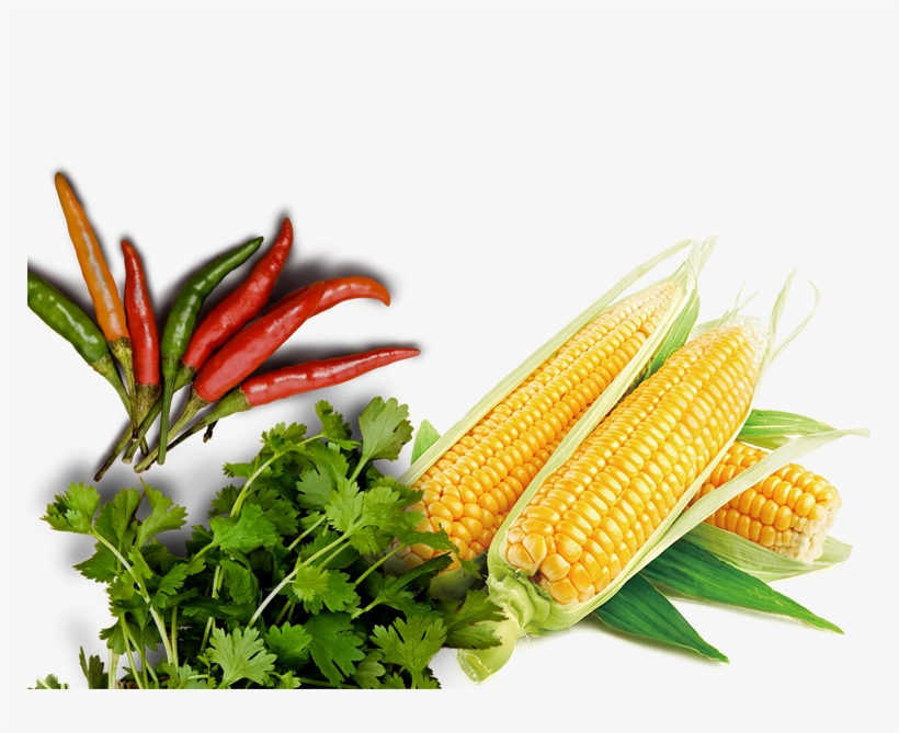 Bg Web Mobile Bottom - Corn On The Cob, transparent png #9280369