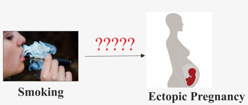 Does Smoking Cause Ectopic Pregnancy - No Smoking, transparent png #9280989