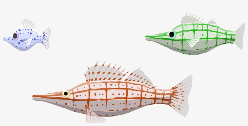 Image Description - Bony-fish, transparent png #9281882