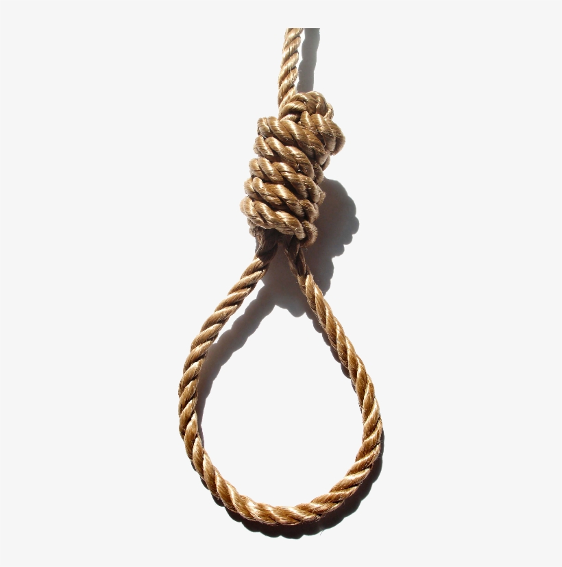 Horse Suicide Rope Knot Hanging Noose Grass Clipart - My Life Is Not Worth Living Without You, transparent png #9282208