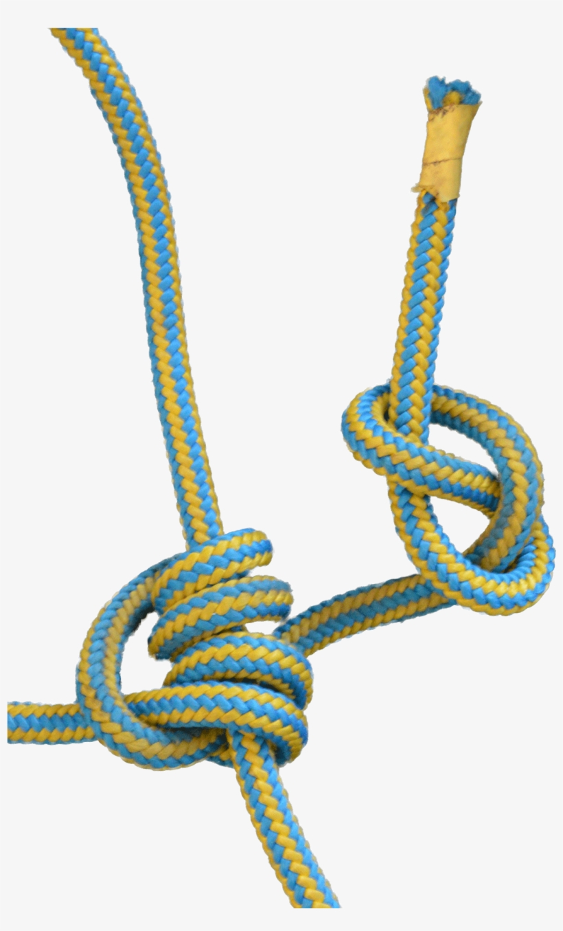 To Pull Yourself Up A Rope, It Is Extremely Helpful - Blake's Hitch Tree Climbing, transparent png #9282313