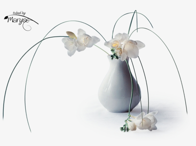 Psp Tubes & Créations De Maryse - Moth Orchid, transparent png #9282733