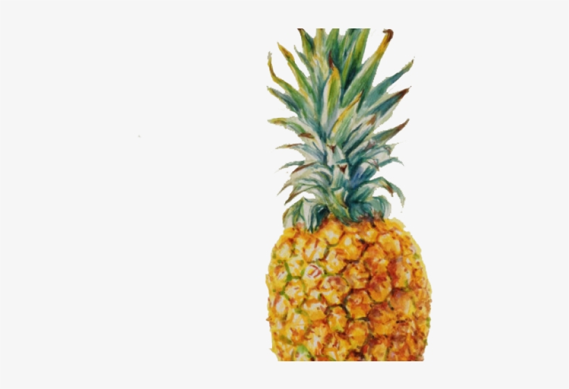 Pineapple Drawing Art, transparent png #9283639