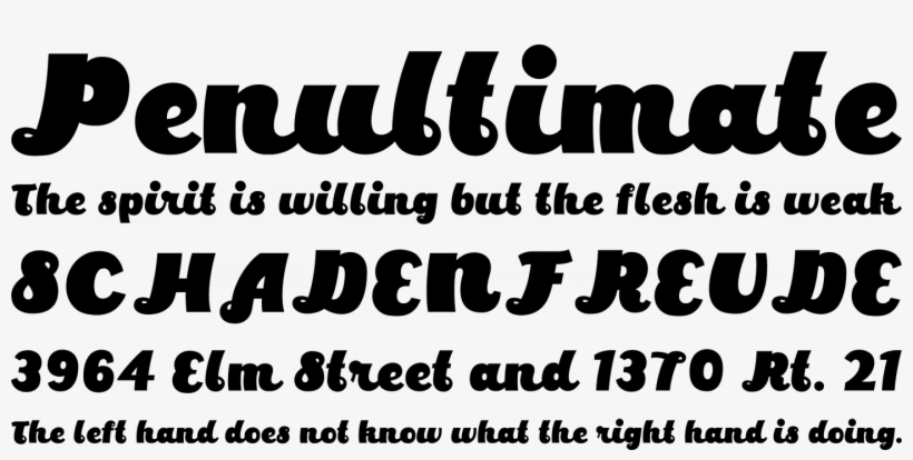 Parakeet Font Phrases - Font Similar To Add City Boy, transparent png #9285077