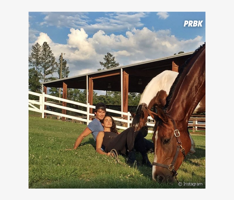 Ian Somerhalder E Nikki Reed Estão Casados Há 3 Anos - Ian And Nikki Horses, transparent png #9285150