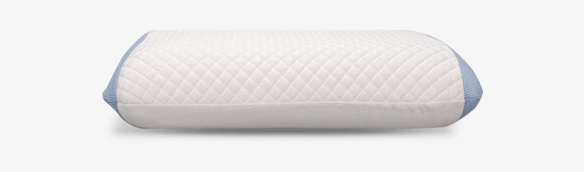 Polar Tropic™ Pillow - Plastic, transparent png #9286990