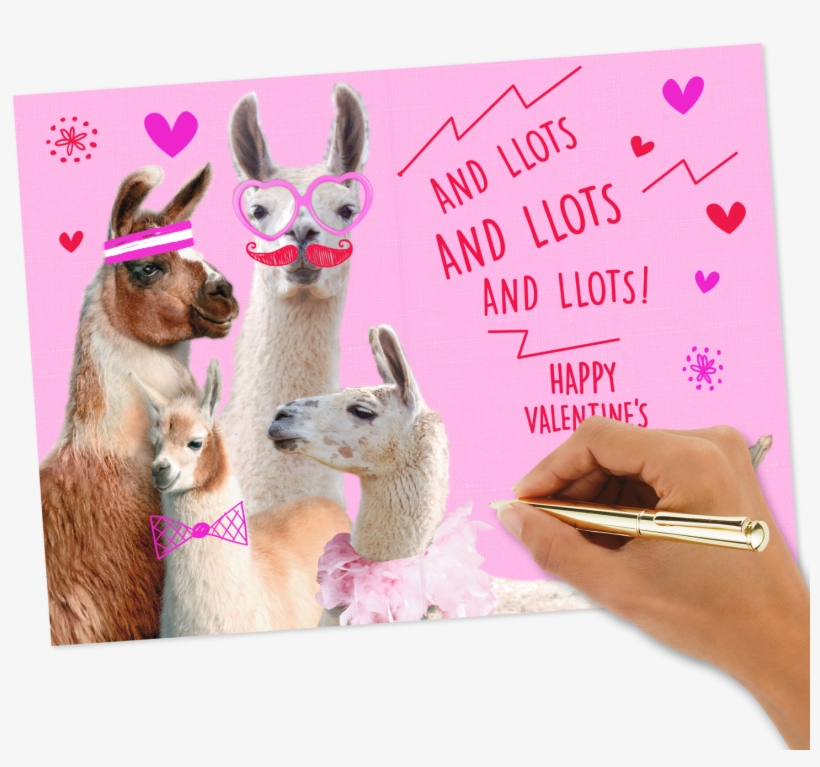 Love You Lots Llamas Valentine's Day - Llama Valentines Day Card Box, transparent png #9287125