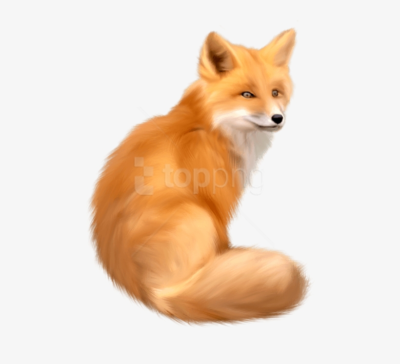 Free Png Download Fox Png Images Background Png Images - Fox Png, transparent png #9287232