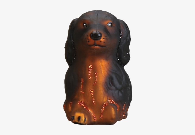 Long Haired Dachshund Old - Dachshund, transparent png #9288246
