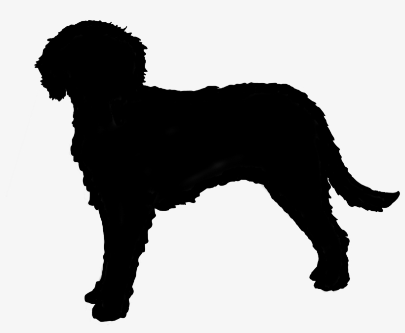 Australian Cobberdog Silhouette - Labradoodle Silhouette, transparent png #9288391