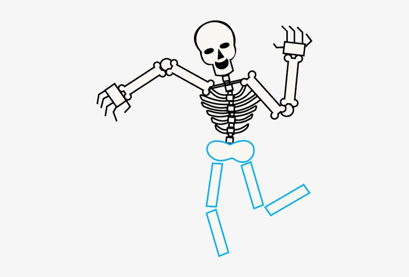 How To Draw Skeleton - Drawing Cartoon Skeleton, transparent png #9290211