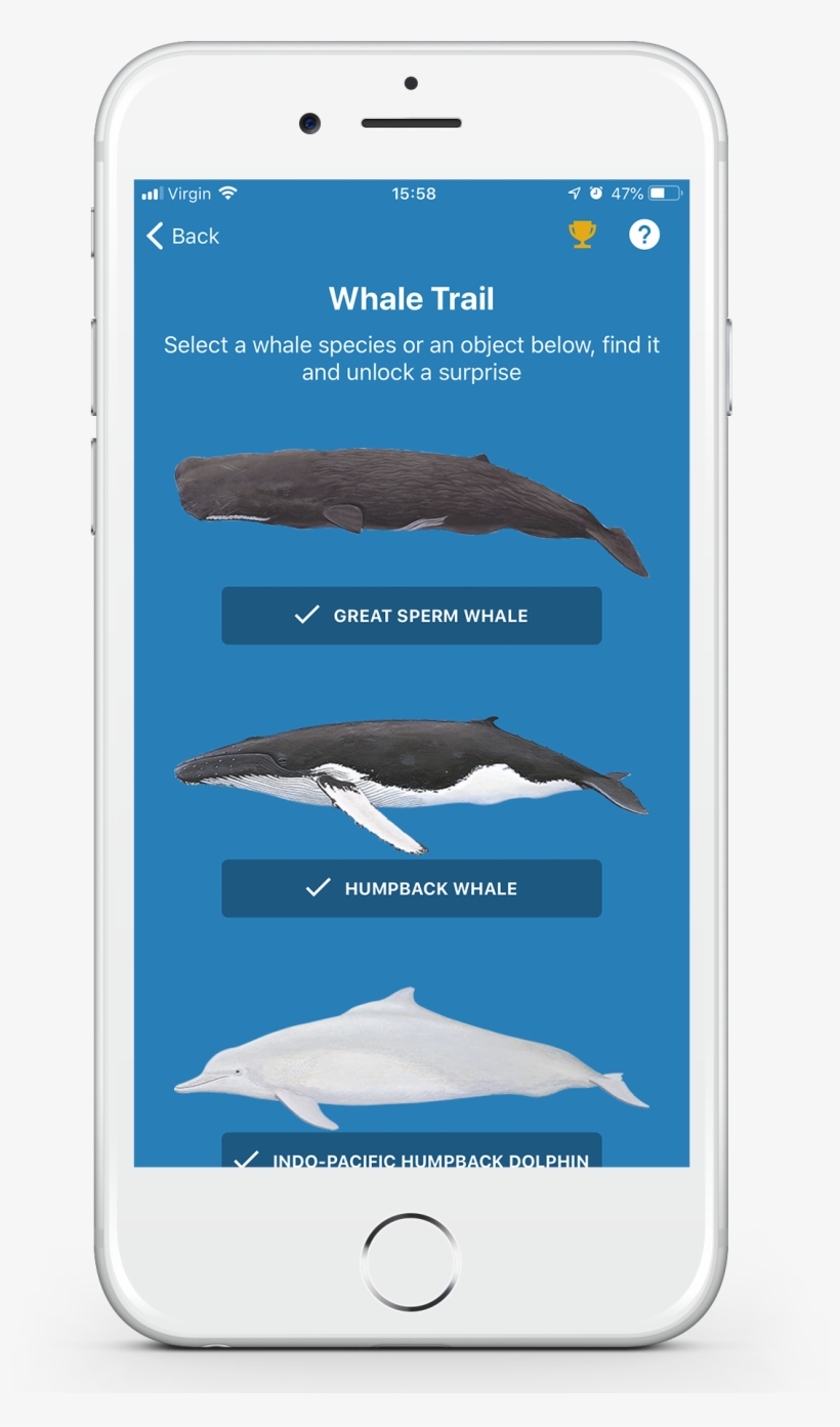 Whale Trail Whale Selector Screen With Trophy Icon - Squaliformes, transparent png #9292344