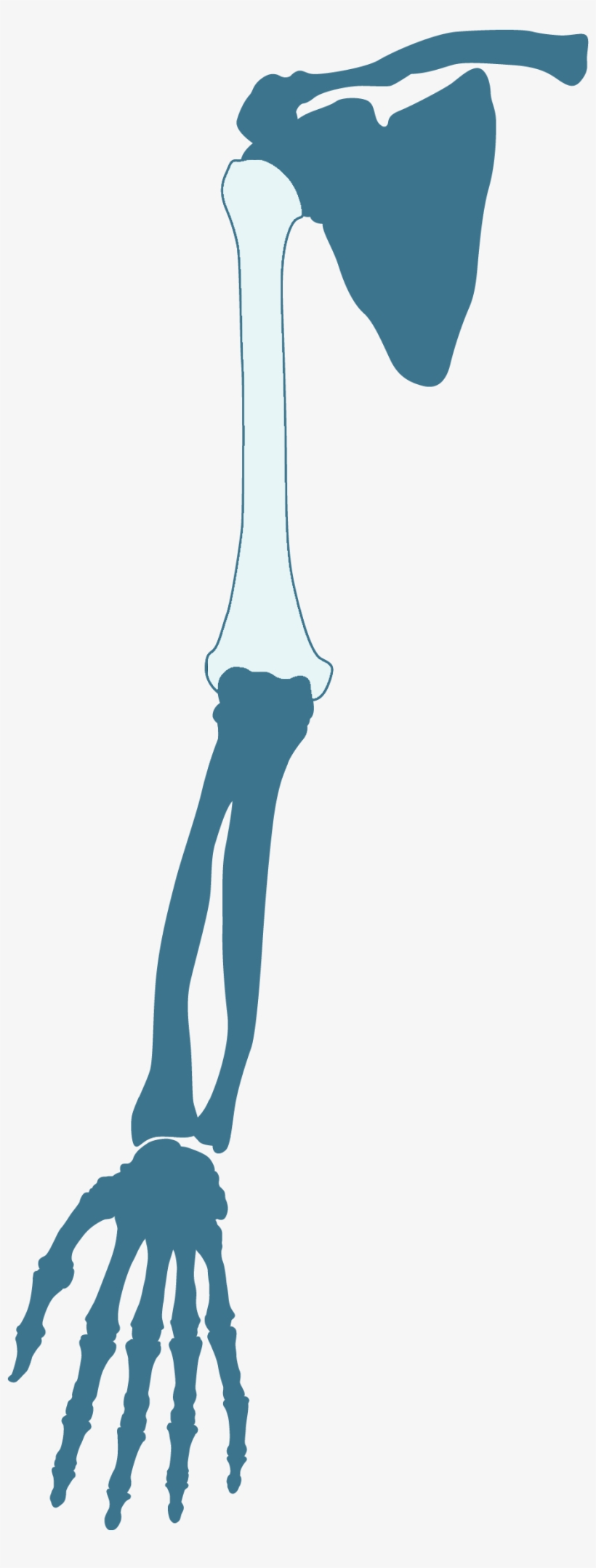 Illustration, transparent png #9293579