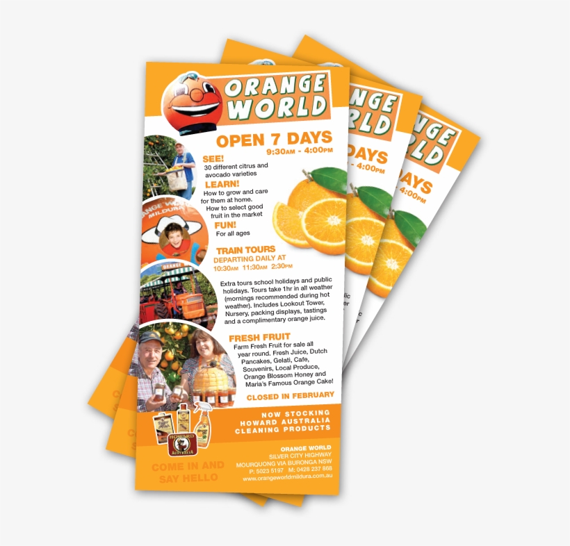 Graphic Design Web Development Services - Flyer, transparent png #9294959