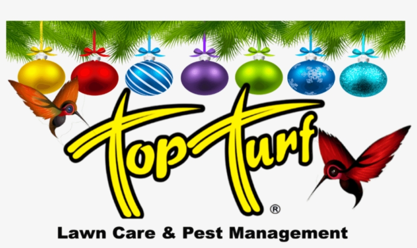 Top Turf, transparent png #9297720